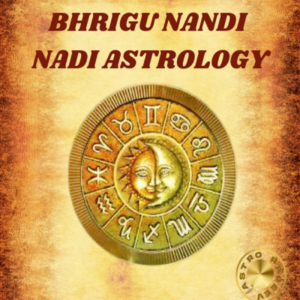 Bhrigu Nandi Nadi