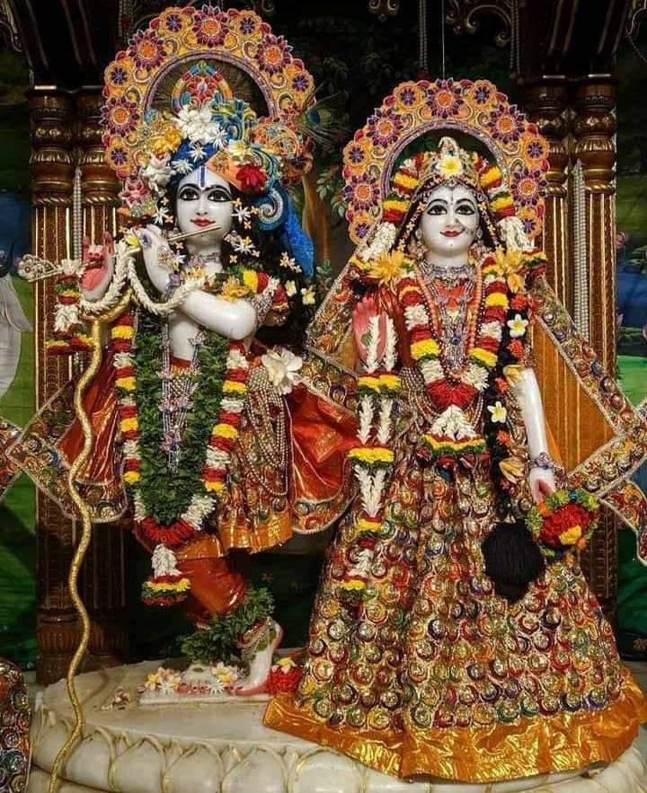 Horoscope Today November 08 2025 : Aaj ka Rashifal November 08 2025 2 img 2035